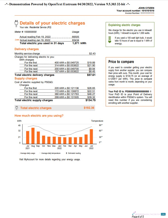 download download USA New York PSEG utility bill, Word and PDF template, 5 pages 4 PDF template PDF template